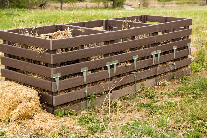 Adopt These Waste Prevention Practices for a Healthier Home