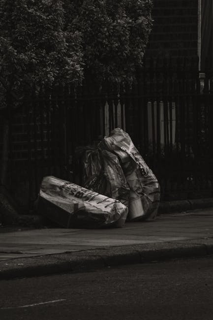 Hidden fees to avoid with Pimlico rubbish collection services